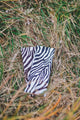 BB Zebra Band